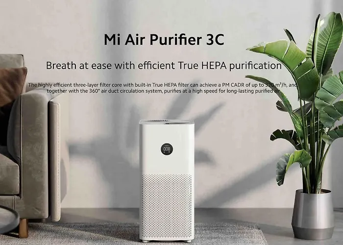 By Les Halles Pinault Museum Le Louvre Parijs